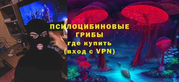 spice Ладушкин
