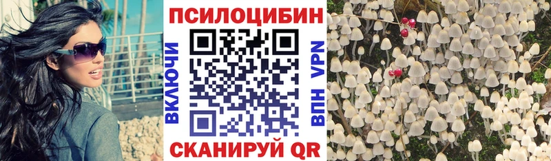 цена   Архангельск  Псилоцибиновые грибы MAGIC MUSHROOMS 