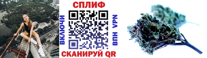 Бошки марихуана MAZAR  хочу наркоту  блэк спрут ссылка  Архангельск 